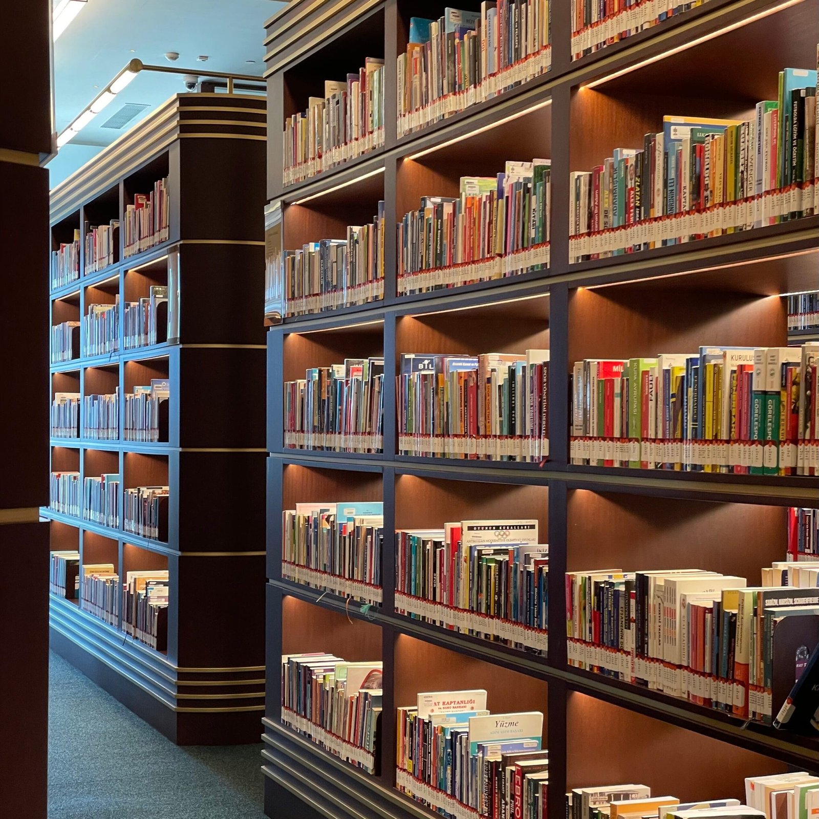 Well-lit library interior featuring rows of neatly organized bookshelves filled with books.